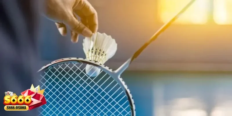 Cá cược cầu lông