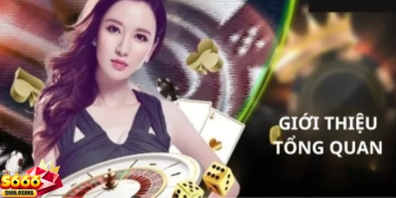 Giữ chân bởi đội ngũ hỗ trợ chuyên nghiệp