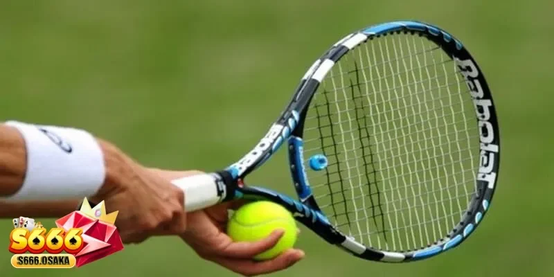  cá cược Tennis 