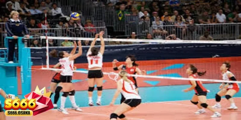  cá cược bóng chuyền